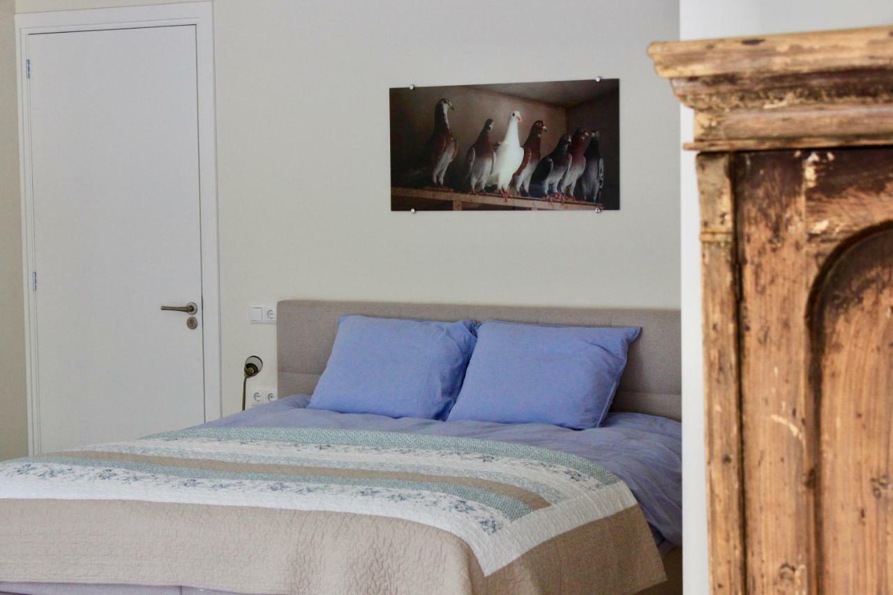 B&B De Sfeerhoeve Beilen Exterior photo